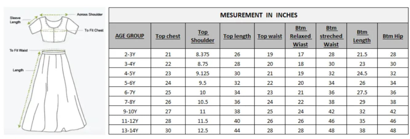 Girl - Navy Blue Lehanga Choli