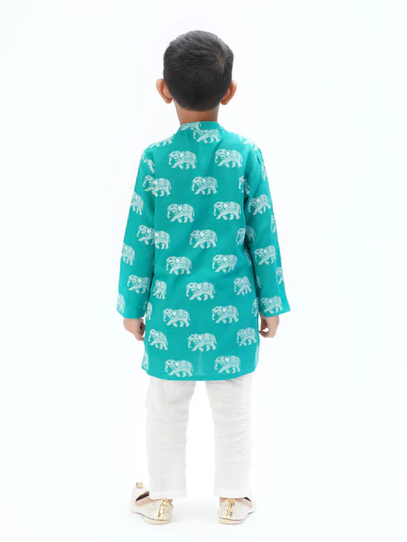 Boy Green Elephant Print Kurta Pyjama